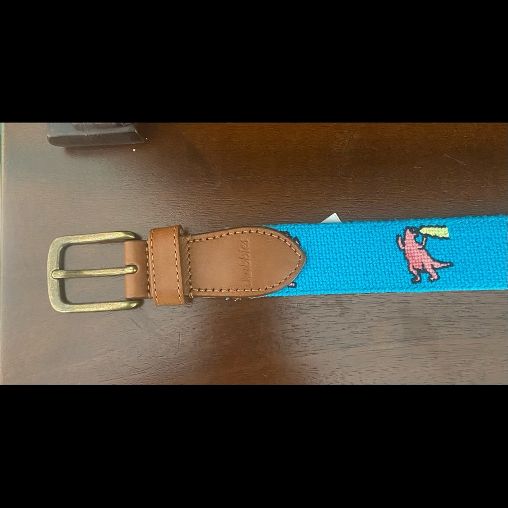Chubbies fire breathing dragon needlepoint belt